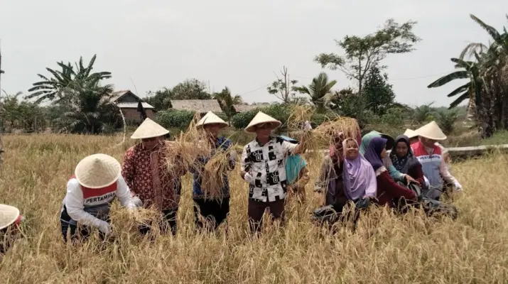 Menghidupkan Kembali “Tanah Mati” Pengabuan lewat Pertanian yang Lebih Berkelanjutan